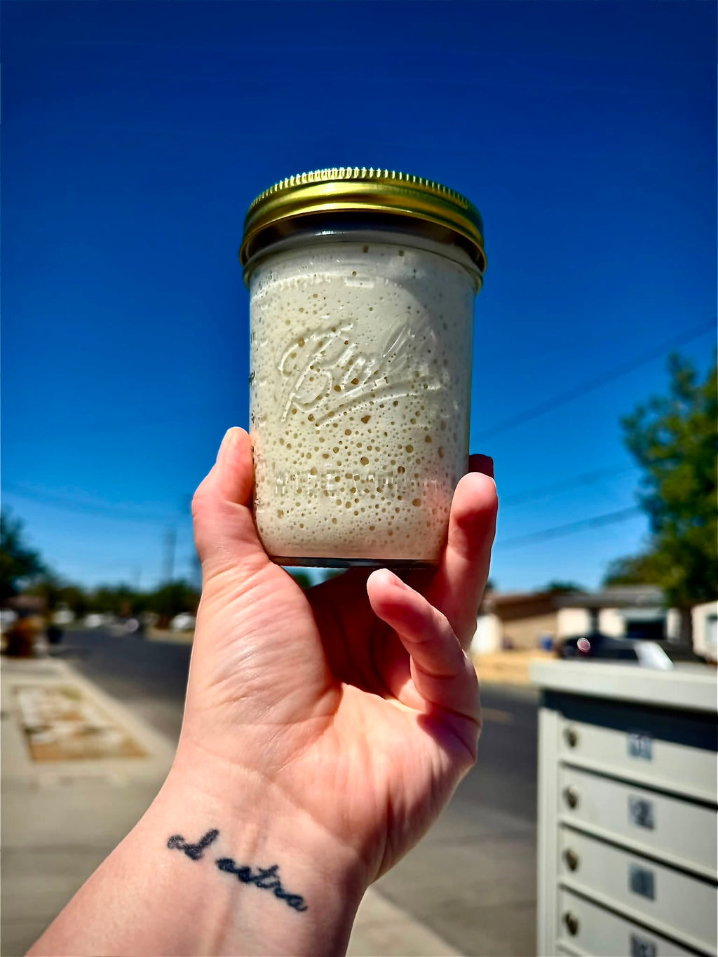 The Wild Cherry House Heritage Starter