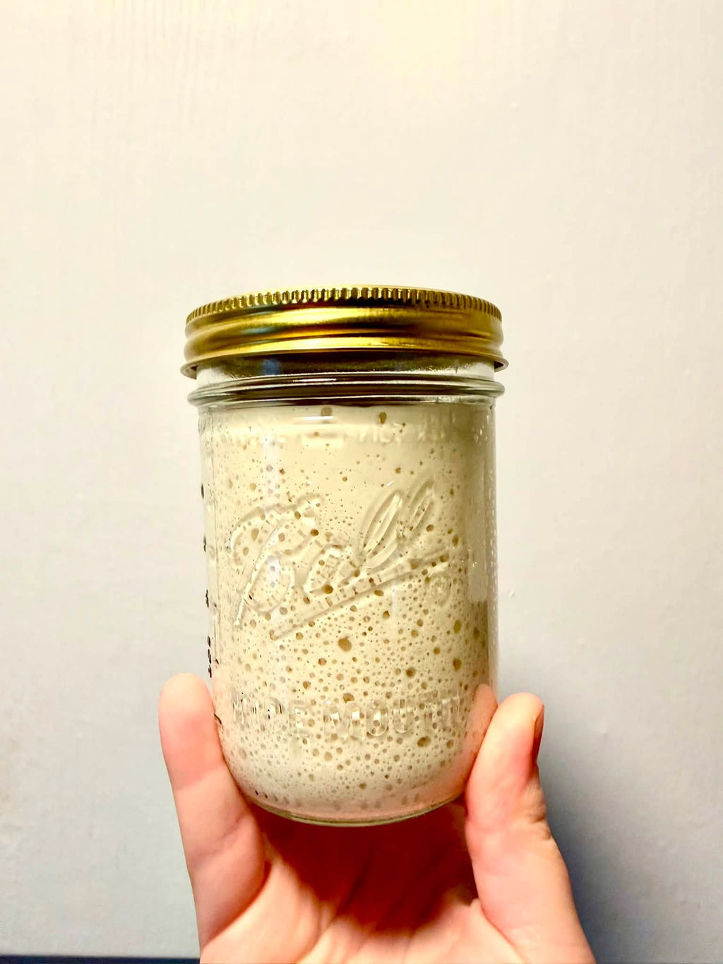 The Wild Cherry House Heritage Starter